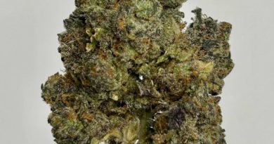 apple fritter by dazed farmz strain review by cali_bud_reviews 2