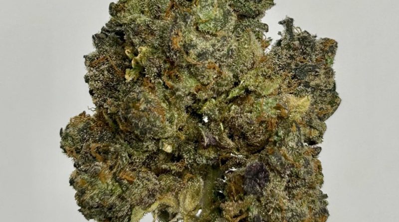 apple fritter by dazed farmz strain review by cali_bud_reviews 2
