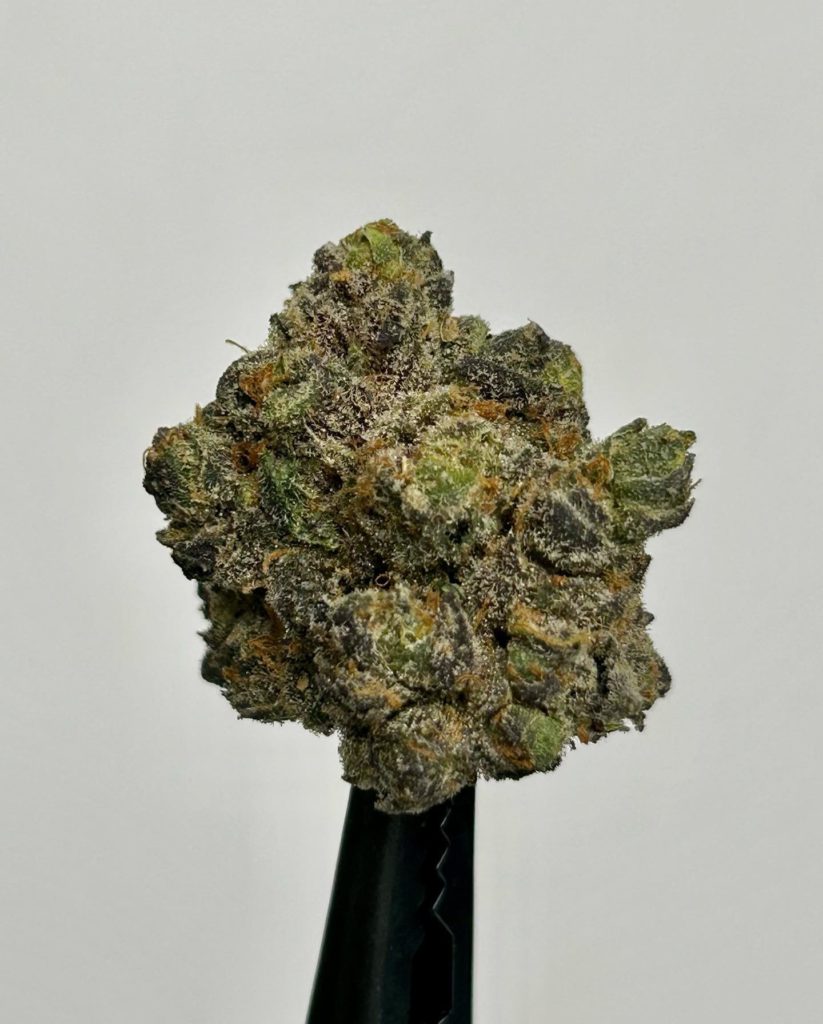 apple fritter by dazed farmz strain review by cali_bud_reviews