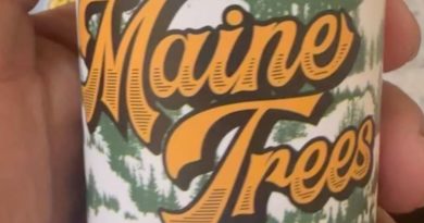 blue lobster by maine trees strain review by letmeseewhatusmokin