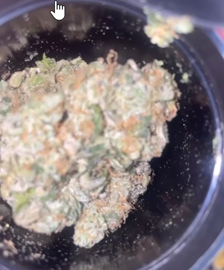 chelemon tree by sisu nyc strain review by letmeseewhatusmokin 2