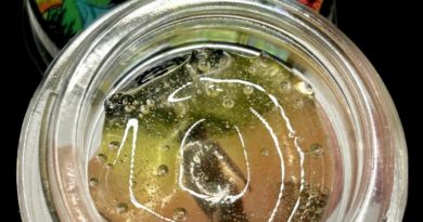 dulce de fresa fresh press rosin by the real cannabis chris hash review by cali_bud_reviews 2