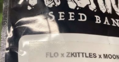 flo x zkittlez x moonbow by archive seeds strain review by letmeseewhatusmokin