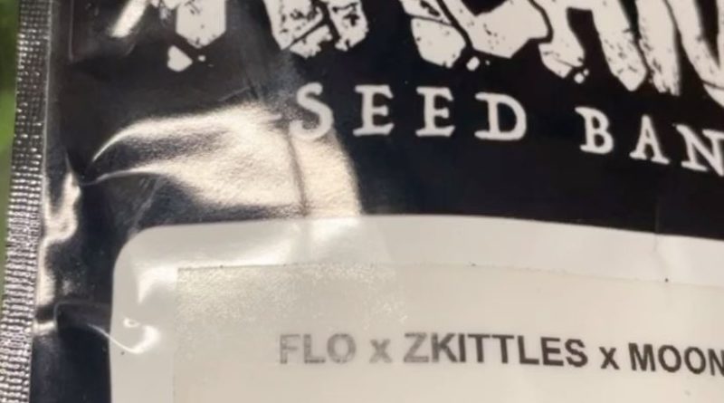 flo x zkittlez x moonbow by archive seeds strain review by letmeseewhatusmokin