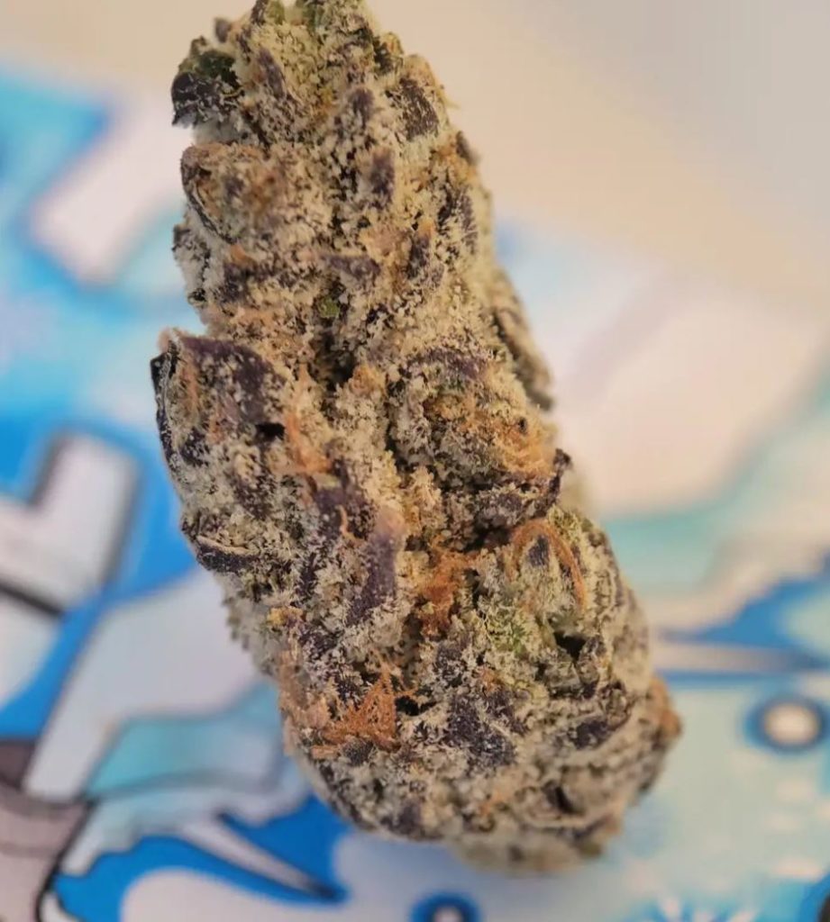 frozen fuel by b-eazy buds strain review by chauncey_thecannaseur