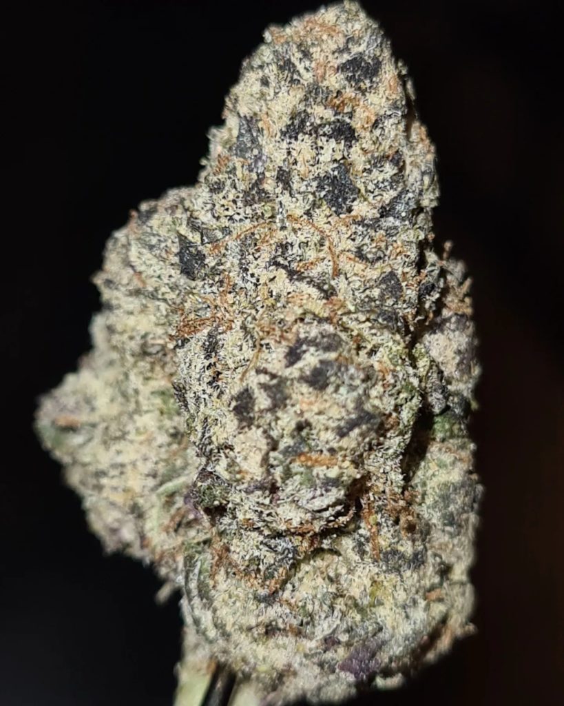 fruit stripez by cannatique strain review by cannoisseurselections 2