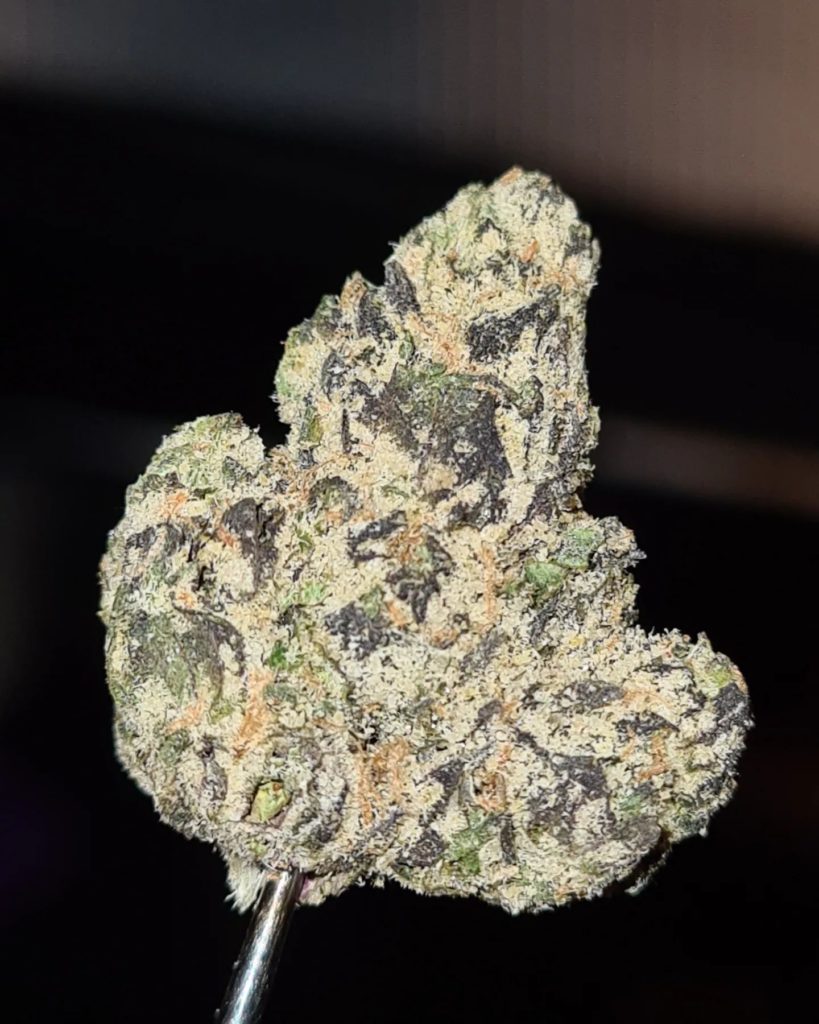 kiwano by heavy loads strain review by cannoisseurselections 2