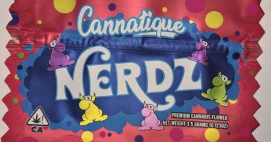 nerdz by cannatique strain review by cannoisseurselections 2