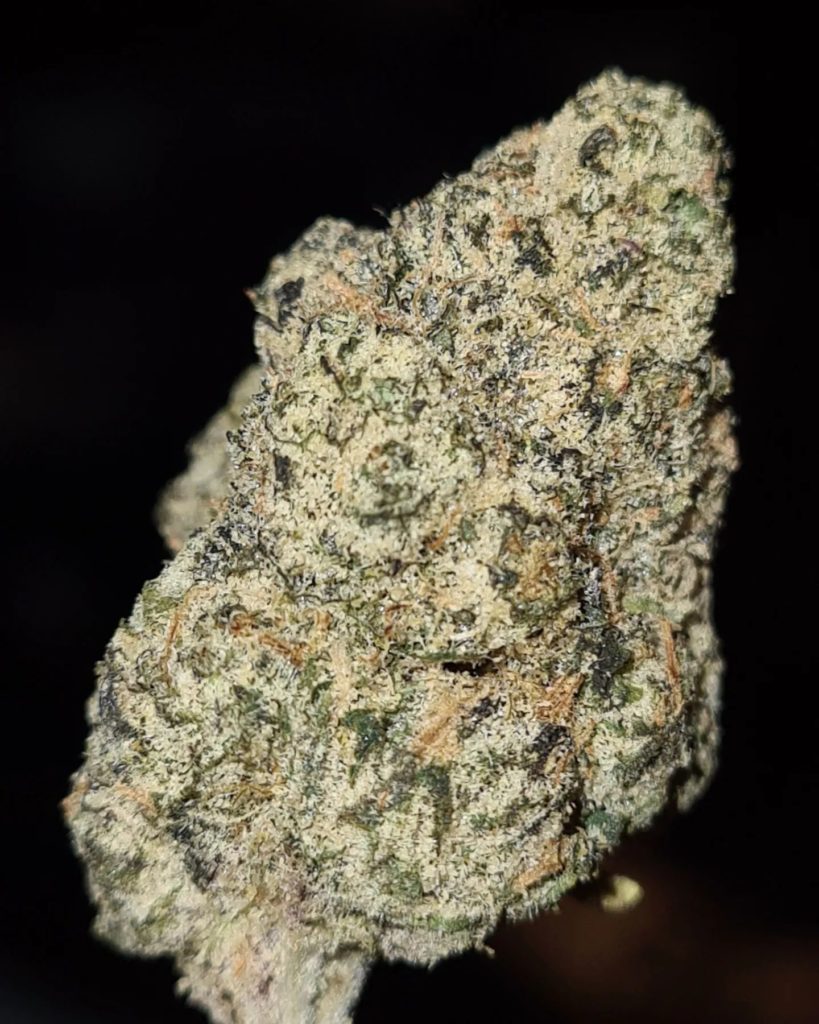 nerdz by cannatique strain review by cannoisseurselections