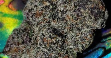 oil spill by b-eazy buds strain review by chauncey_thecannaseur