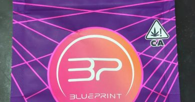 proper z by blueprint strain review by njmmjguy 2