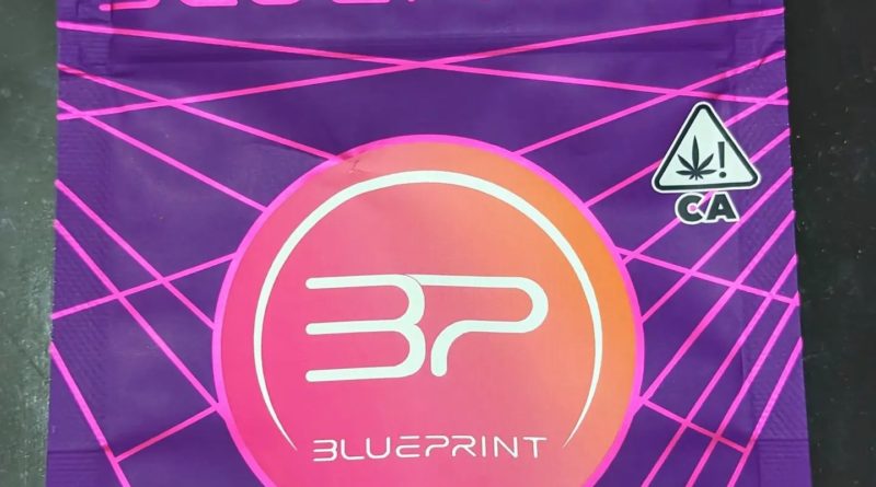 proper z by blueprint strain review by njmmjguy 2