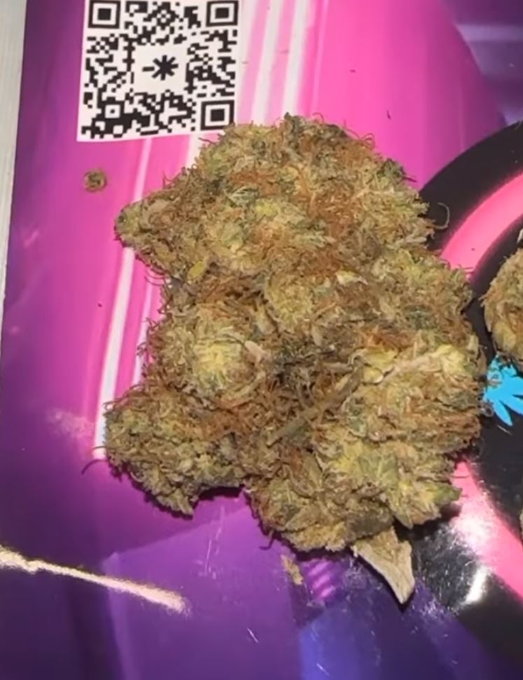 purple haze by miami piff strain review by letmeseewhatusmokin 2