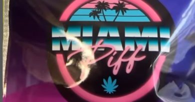 purple haze by miami piff strain review by letmeseewhatusmokin