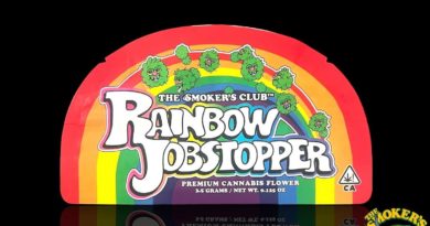 rainbow jobstoppers by the smokers club strain review by thethcspot 2