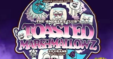 toasted marshmallowz by the smokers club strain review by thethcspot