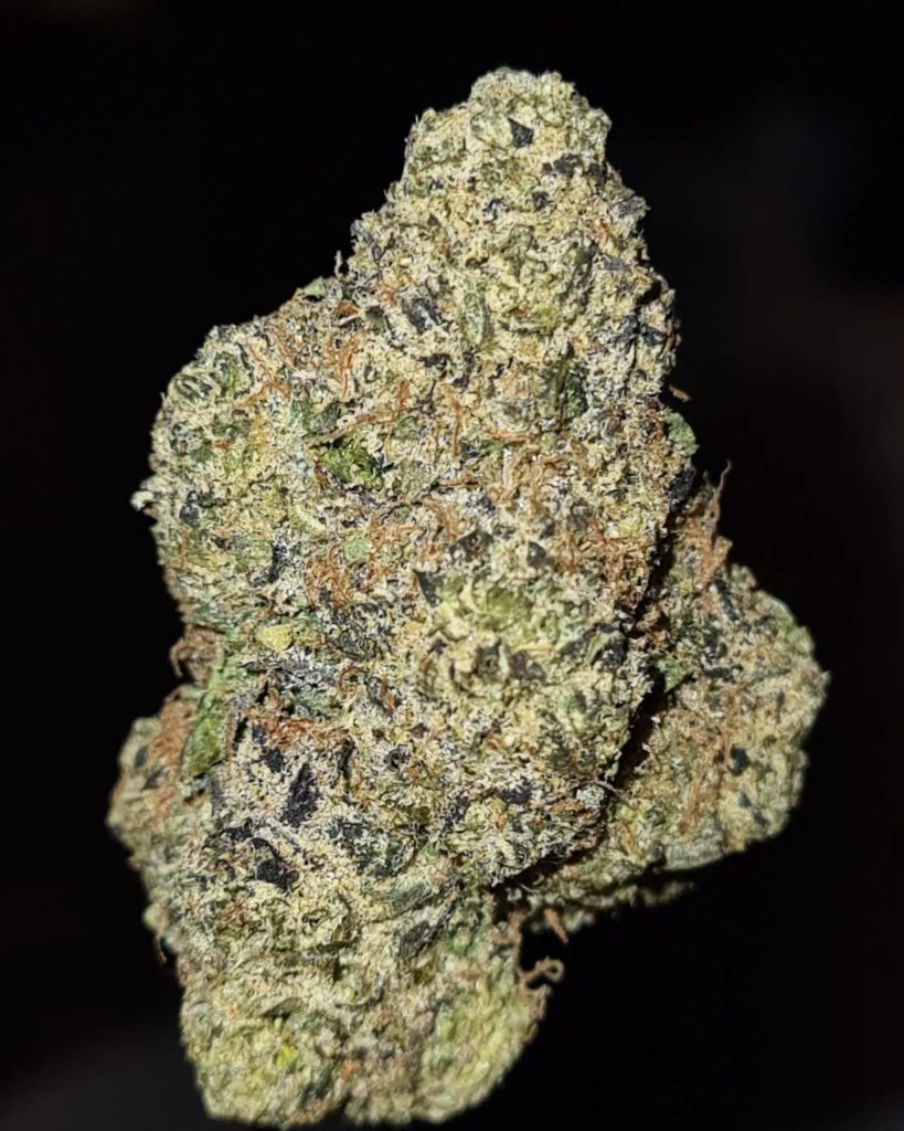 tropical skittles by cannatique strain review by cannoisseurselections