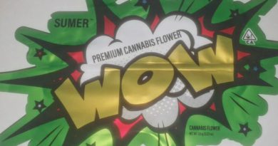 wow by sumer strain review by henryyougotan8th 2