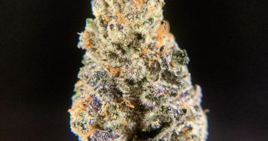 91 octane by midnight fruit company strain review by pnw_chronic 2.jpg