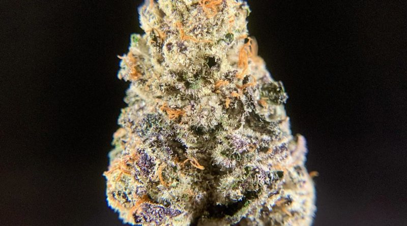 91 octane by midnight fruit company strain review by pnw_chronic 2.jpg