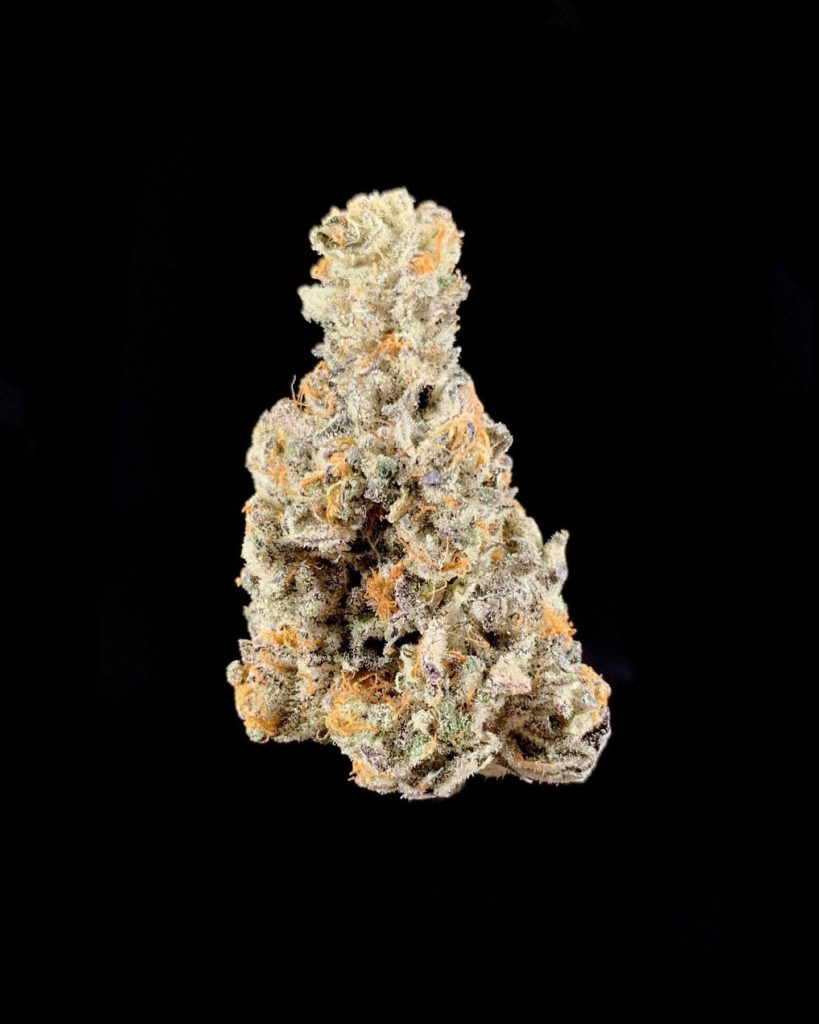 biscotti pie by high noon cultivation strain review by pnw.chronic 2.jpg