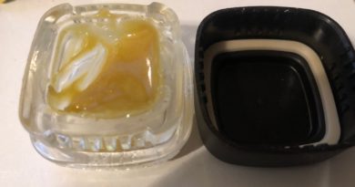 purple paro rosin by seeds of kismet hash review by caleb chen