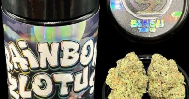 rainbow zlotus by bonsai tree co strain review by cali_bud_reviews 2