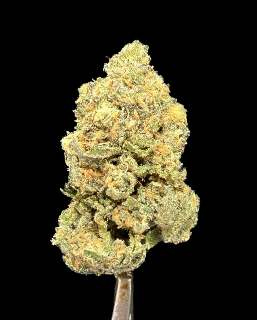 rainbow zlotus by bonsai tree co strain review by cali_bud_reviews