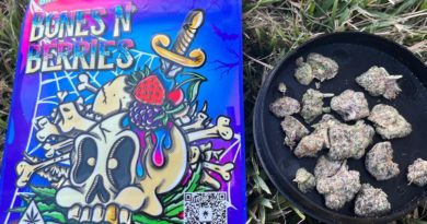 bones n berries by magical botanicals x bee high collective strain review by averagejoeweedreviewsnj 2.jpg