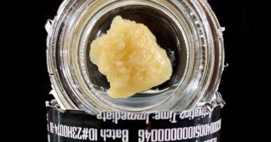 braves burger hash rosin by brave hearts private reserve hash review by pnw.chronic 2.jpg