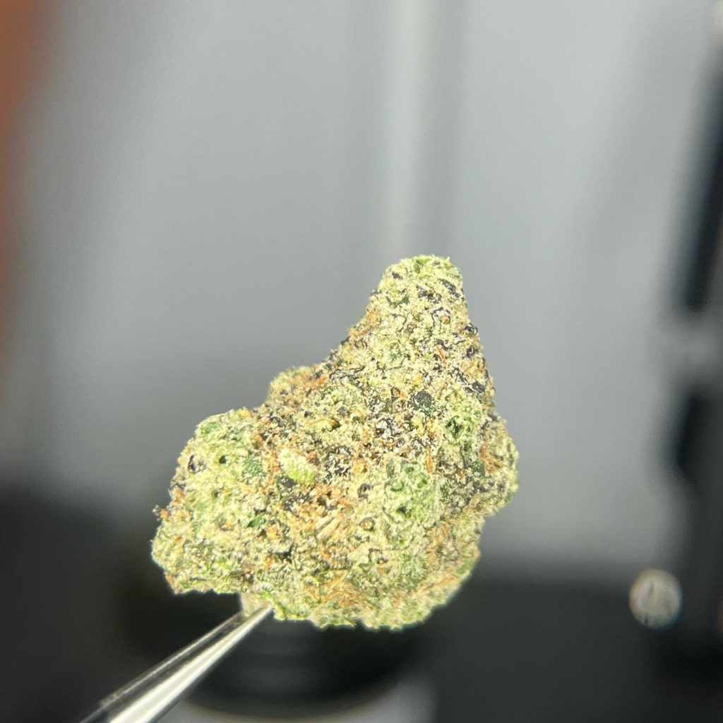 garlic runtz by topins strain review by averagejoeweedreviewsnj