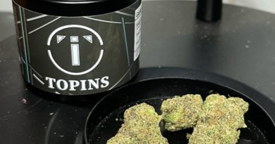 garlic runtz by topins strain review by averagejoeweedreviewsnj 2.jpg