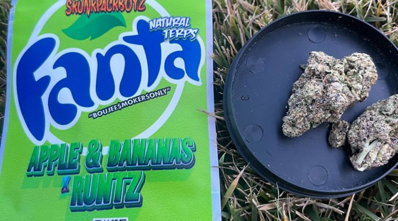 green apple fanta by skunkpackboyz strain review by averagejoeweedreviewsnj 2.jpg