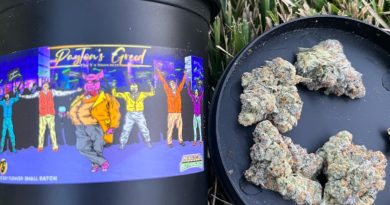 payton's greed by magical botanicals x g canna strain review by averagejoeweedreviewsnj 2.jpg