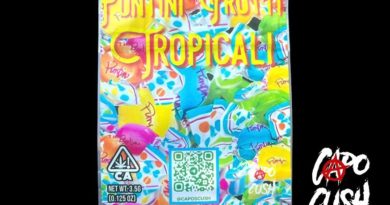 puntini frutti tropicali by capos cush strain review by thethcspotreviewer 2.jpg