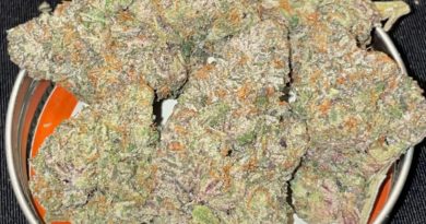 the soap by boutique smoke strain review by toptierterpsma