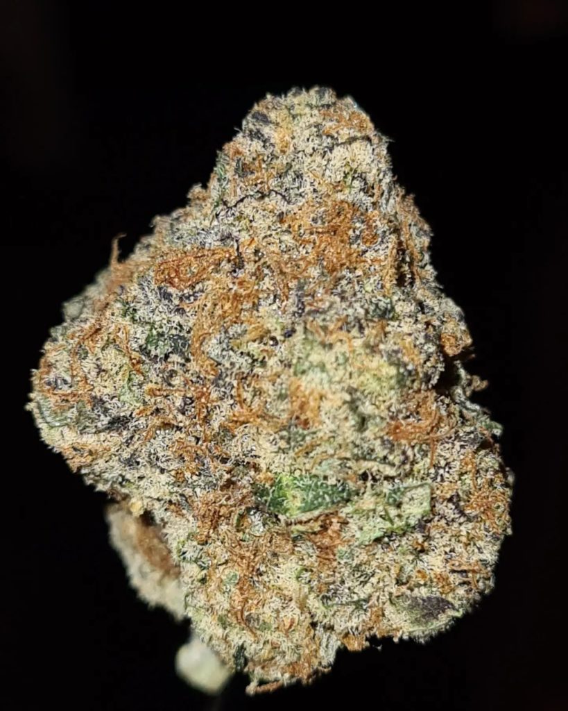 2017 guava lemonade by brummie boys x exotic brs strain review by cannoisseurselections