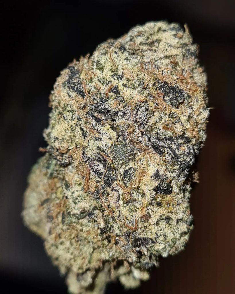 airheadz gum by calibre exotics strain review by cannoisseurselections