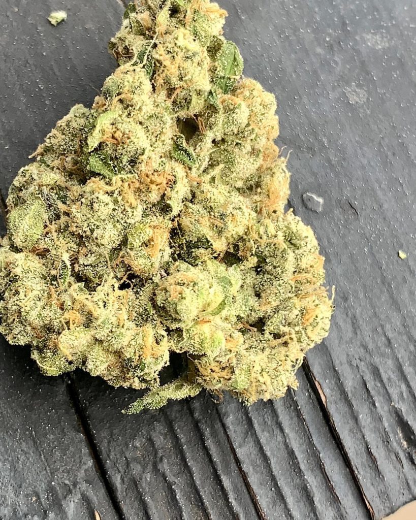 animal face 2023 by fig farms strain review by reviews_by_jude