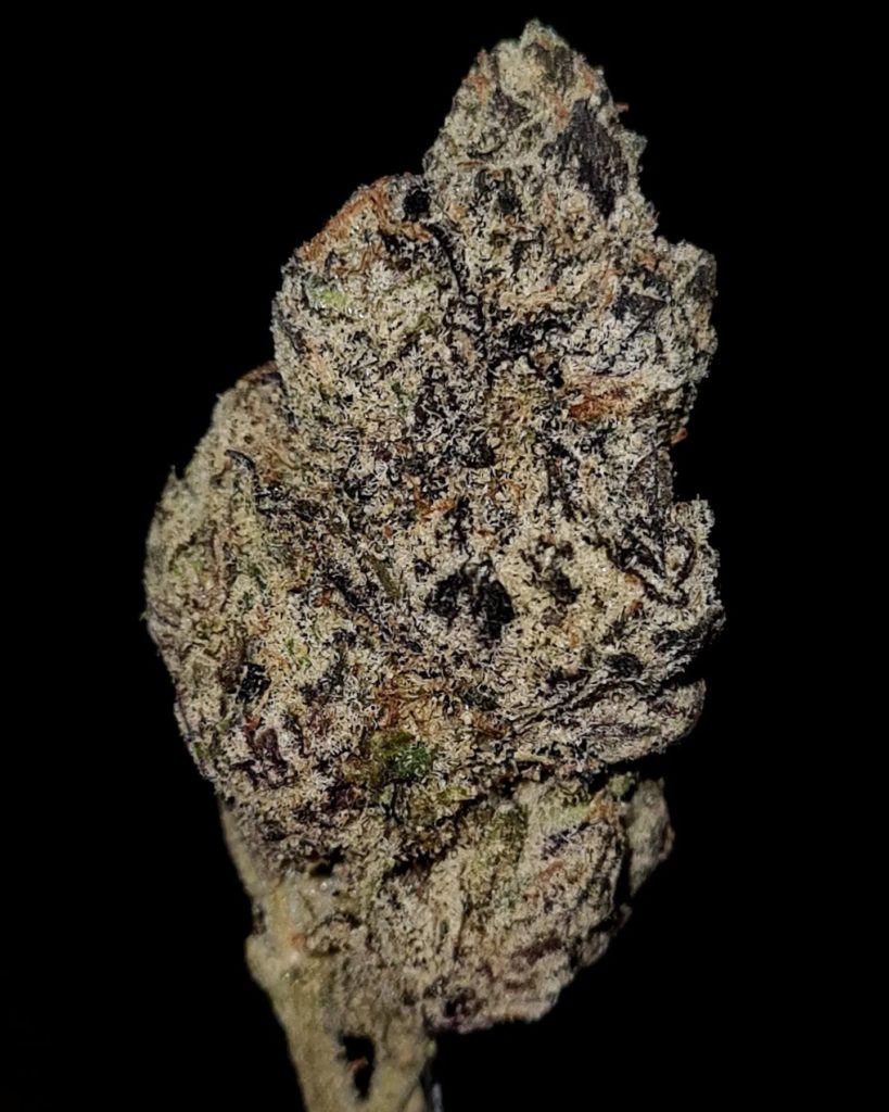 cherry 7up by mameys bodega strain review by cannoisseurselections