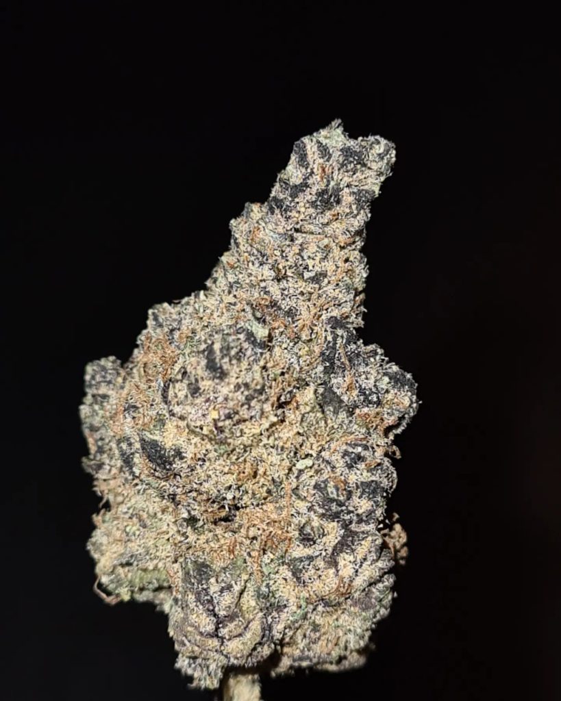 citron lime by tasty selections strain review by cannoisseurselections