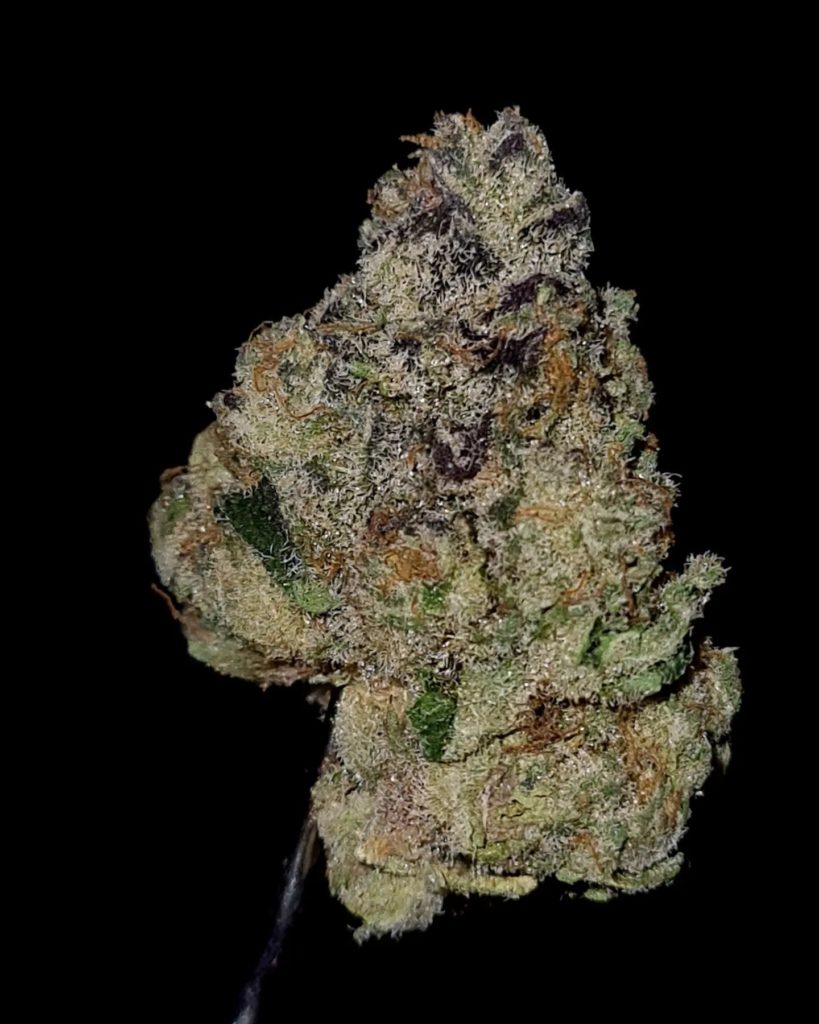 ice cream float by jungle boys strain review by cannoisseurselections 2.webp