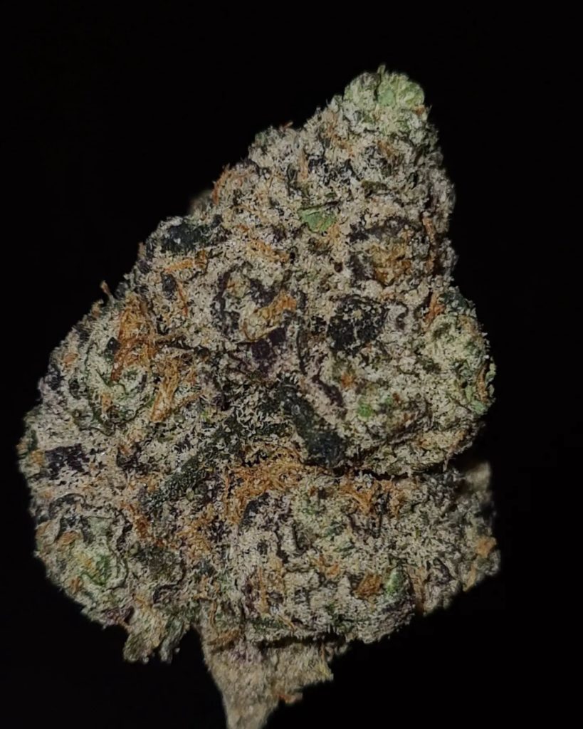 lemon raspberry gelato by cannatique strain review by cannoisseurselections