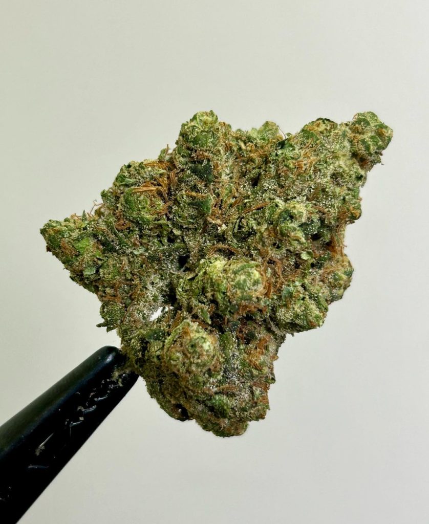 life og by boykin strain review by cali_bud_reviews