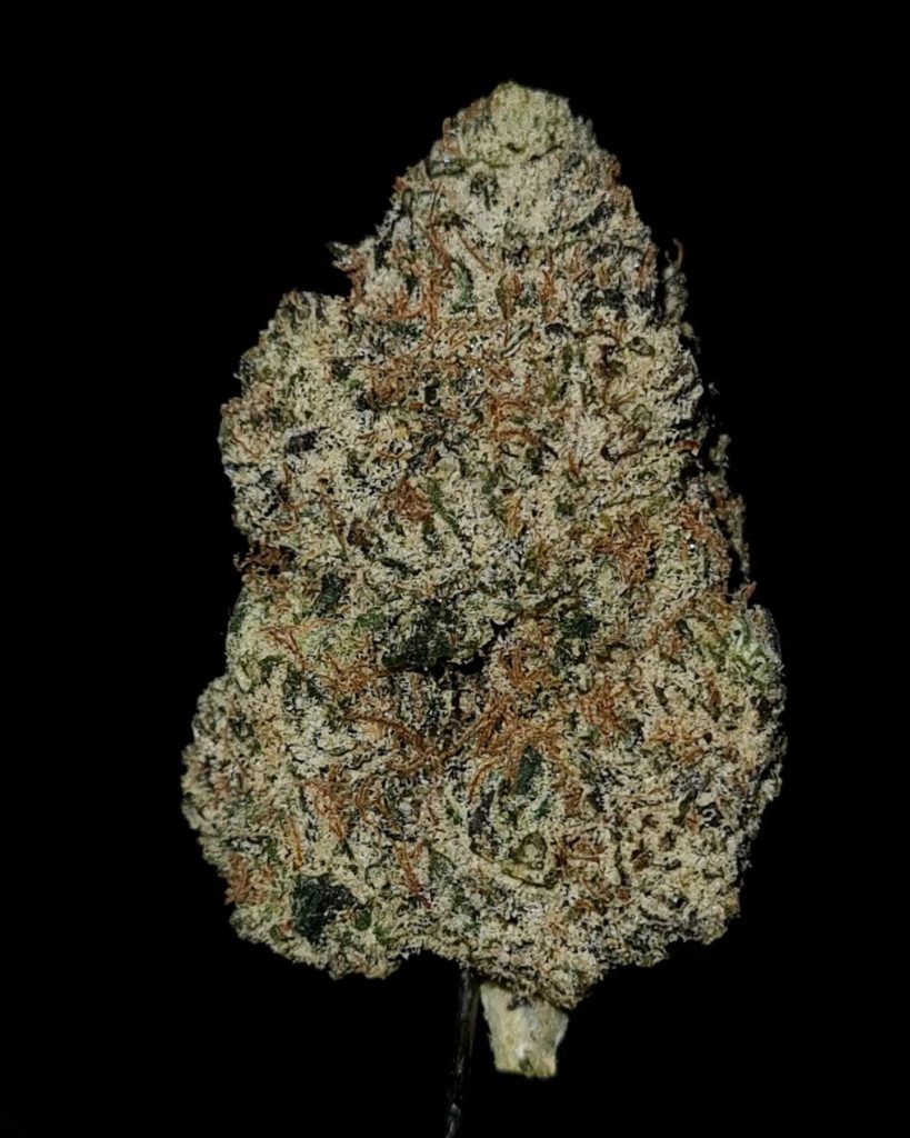 limonata 7up by mameys bodega strain review by cannoisseurselections