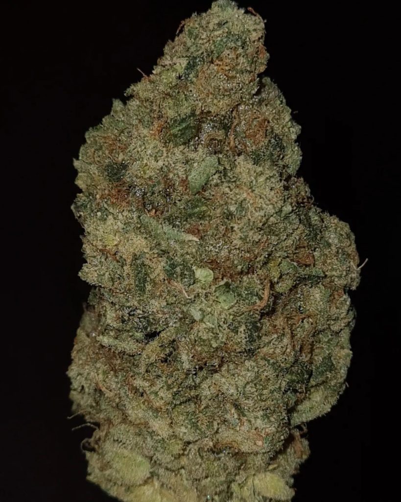 perfect og by jungle boys strain review by cannoisseurselections 2