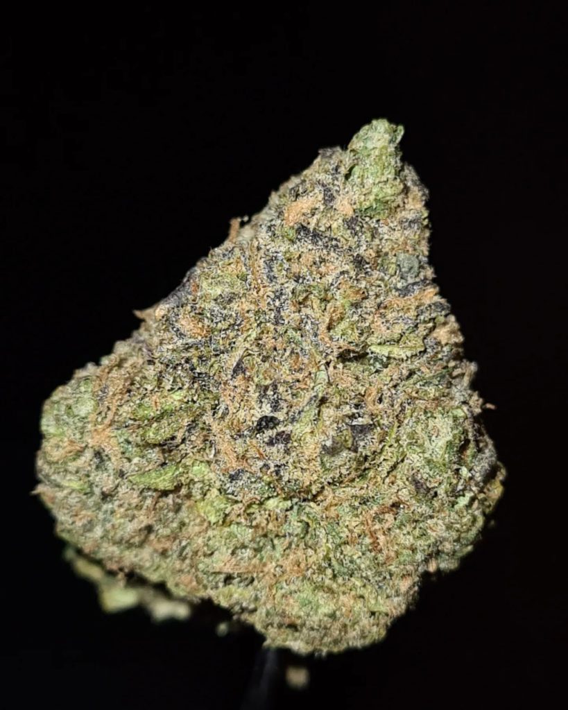 proper z by proper reserve strain review by cannoisseurselections