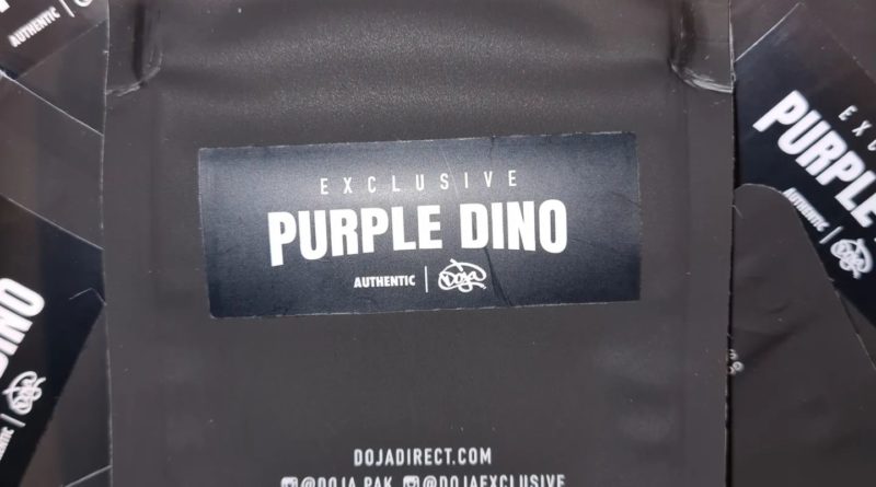 purple dino by doja pak strain review by cannoisseurselections 2.webp