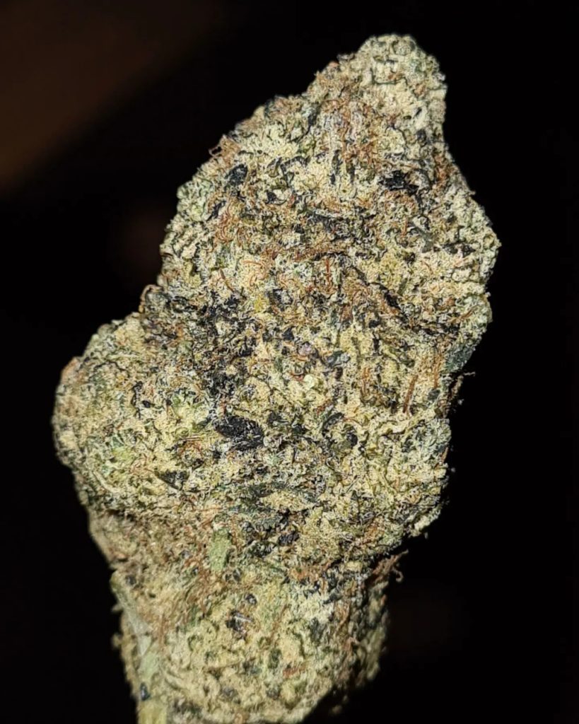 thanoz by calibre exotics strain review by cannoisseurselections