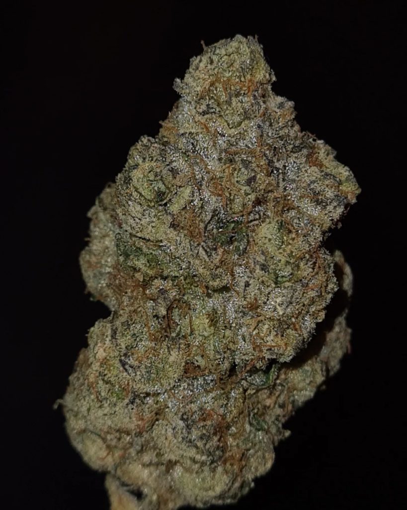 white tahoe cookies by kush4breakfast x johnny dankco strain review by cannoisseurselections